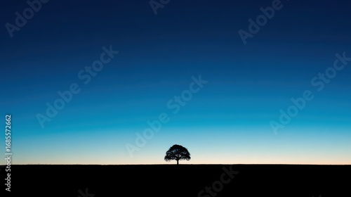 Simple tree shape with sky gradient, conveying peace and nature, great for posters or website headers.