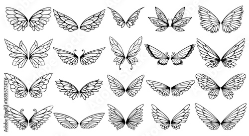 A collection of delicate, stylized wings, capturing the essence of flight and freedom, rendered in detailed black and white line art. vector illustration