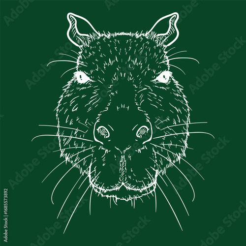 Vector Chalk Sketch Capybara Portrait