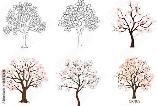 PrintOrnus Flowering Tree Vector Set with Pink Blossoms in Line Art, Flat, and Realistic Styles for Botanical Design Projects