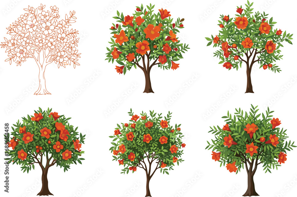 Naklejka premium PrintSix stages of pomegranate tree growth with green leaves and orange flowers, botanical development cycle vector illustration for educational design