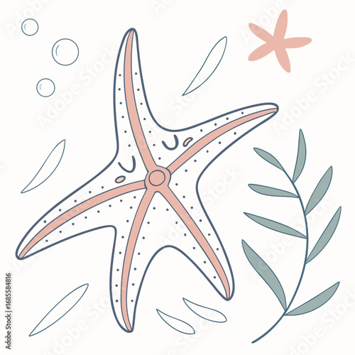 sea star vector illustration
