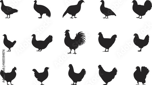 Collection of poultry bird silhouettes including chickens, roosters, turkeys, and pigeons, isolated on white background, perfect for farm animal designs