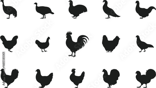 Collection of poultry bird silhouettes including chickens, roosters, turkeys, and pigeons, isolated on white background, perfect for farm animal designs