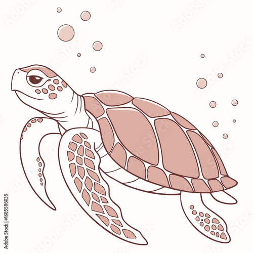 funny turtle cartoon