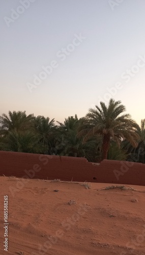 This photo is considered one of the most beautiful photos I took in Algeria, specifically in the city of Reggane. Oases, palm trees and sand are really beautiful, especially at sun
