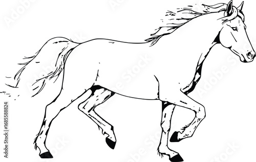 Running Horse Line Art Illustration – Black and White Outline Drawing