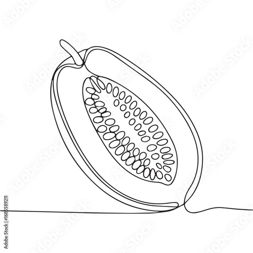 Continuous line of Papaya.Single one line art of Papaya, One continuous line illustration of an Papaya isolated on white background.