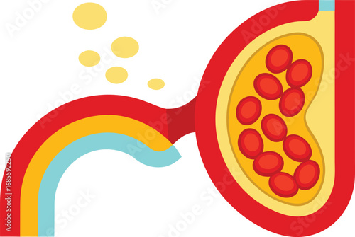 this illustration depicts the circulatory system w.eps