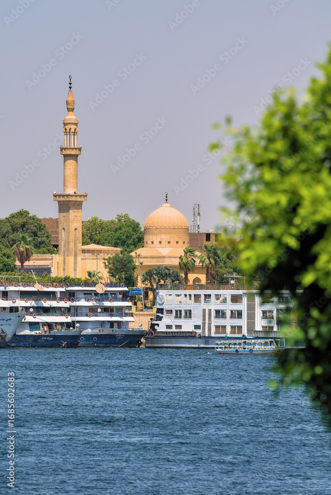 Fototapeta premium Nile coastline