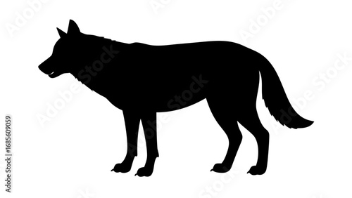 Wolf silhouette standing, in black and white.Silhouette of a wolf howling standing on a rock against white sky on white background , no background
