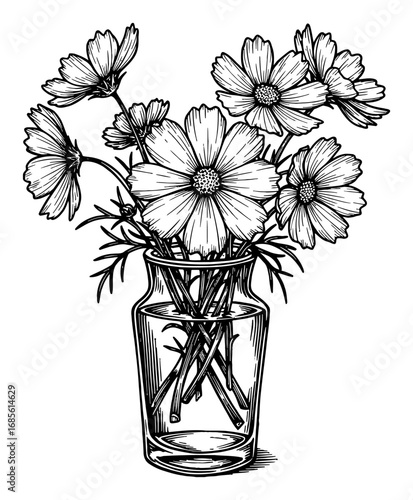 Cosmos flowers in a clear glass vase detailed Black and White Outline Line Art Drawing elegant botanical sketch