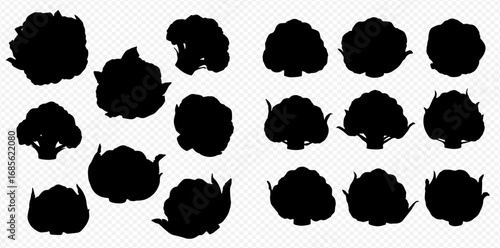 A collection of black cauliflower and broccoli silhouettes illustrating various forms and sizes on a transparent background.