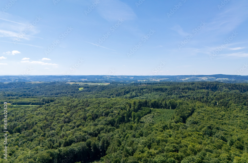 Fototapeta premium Aerial view of lush green forests under a clear blue sky, showcasing the beauty of nature in rural areas. Ideal for environmental themes and outdoor activities.