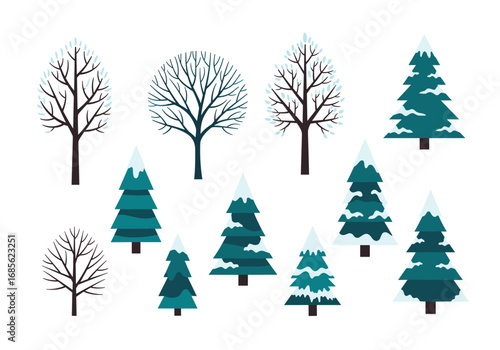 Collection of diverse winter trees covered in snow and frost