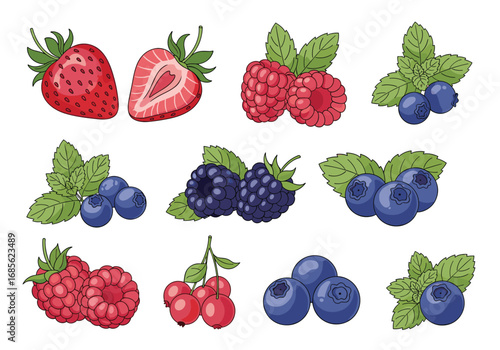 Assortment of fresh berries sweet and juicy fruits for healthy eating