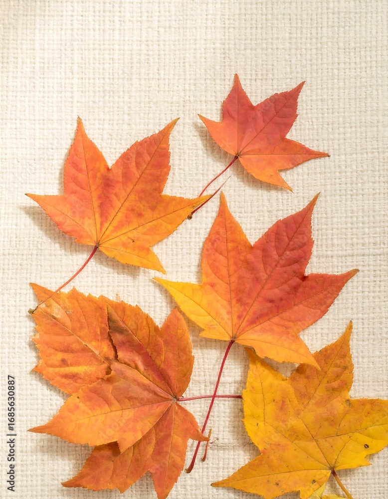 Fototapeta premium Autumn maple leaves on beige fabric