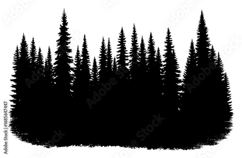 Evergreen forest silhouette in a detailed style, in black and white