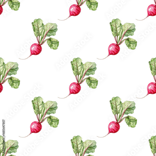 Radish seamless watercolor pattern with crisp roots and leafy greens. White background design for farm branding and packaging projects