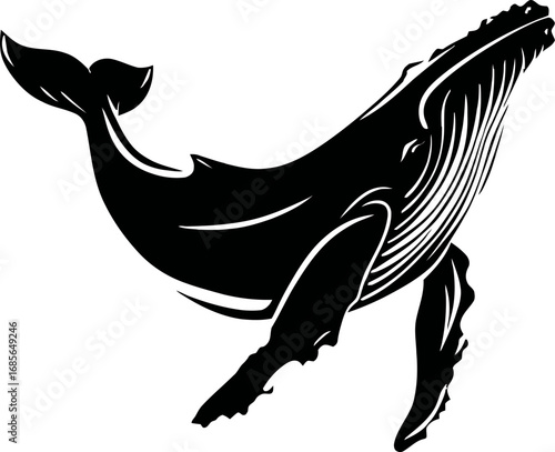 Black Silhouette Whale Illustration with Detailed Pattern Vector Design