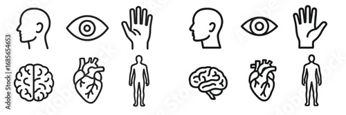 Collection of simple line icons illustrating human anatomy including brain, heart, and body parts with various views of heads and hands
