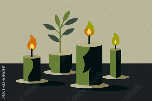 botanical candles  dancing shadows  concrete surfa