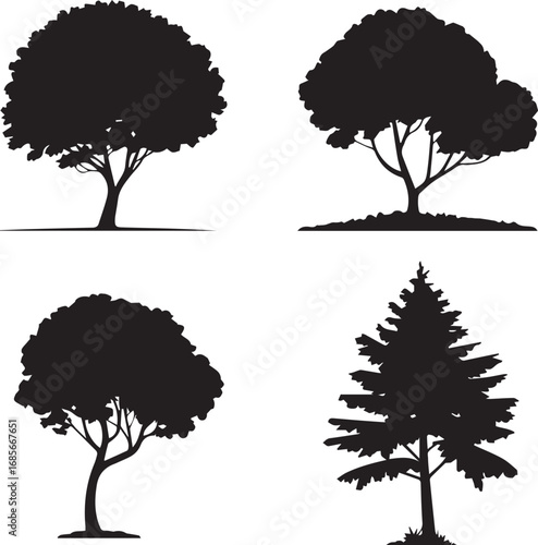 Tree silhouttee