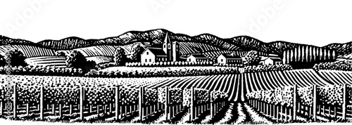 Vineyard village with church steeple in woodcut style in black and white for wine label design