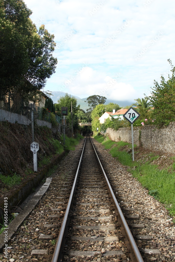 Obraz premium Railway tracks leading into tunnel surrounded by trees and green landscape, transportation and travel infrastructure in nature, perspective view of railroad in countryside setting