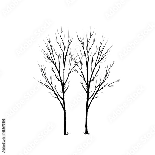 Two stylized, dark trees with illuminated, detailed branches against a black background.  Small, bright colored specks are scattered throughout