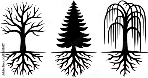 Tree Silhouette Vector Bundle
