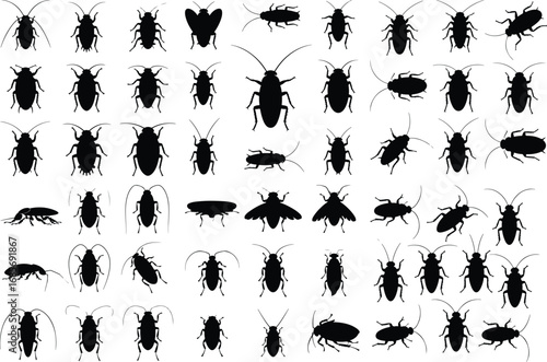 Cockroach Insect Black Silhouette Icon Vector Set Pest Control Cockroach Silhouette Design Symbol Collection