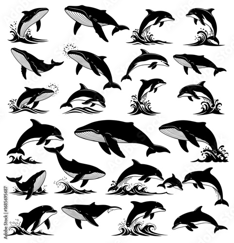 Vector art of a collection of various whale and dolphin silhouettes jumping out of the water