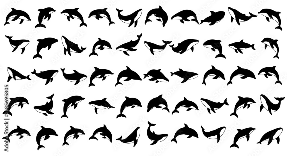 Fototapeta premium Vector art of silhouetted dolphin collection, presenting various poses and positions of the marine mammal in black and white