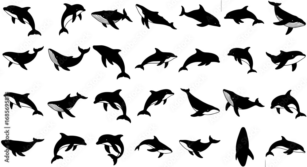 Vector art of silhouetted dolphin collection, showcasing various poses and positions of the marine mammal in black and white Vector art of silhouetted dolphin collection, showcasing various poses and positions of the marine mammal in black and white