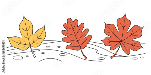 Three colorful autumn leaves on a white background with wavy lines fall leaf
