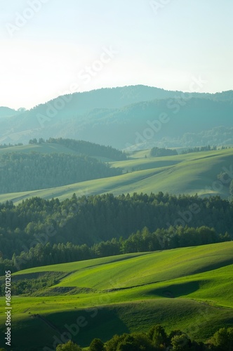landscape with green hills
