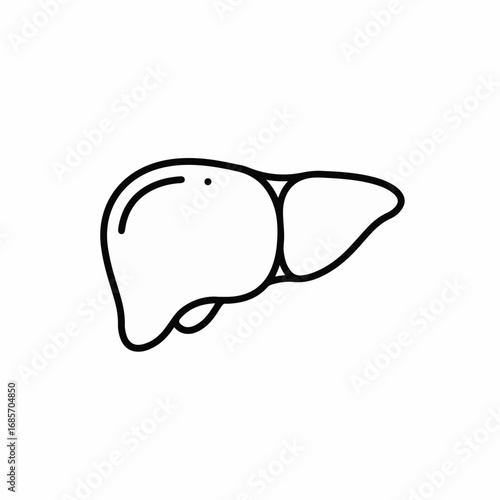 Clean line art illustration of a human liver, perfect for medical education, health awareness, or scientific presentations showcasing internal anatomy.