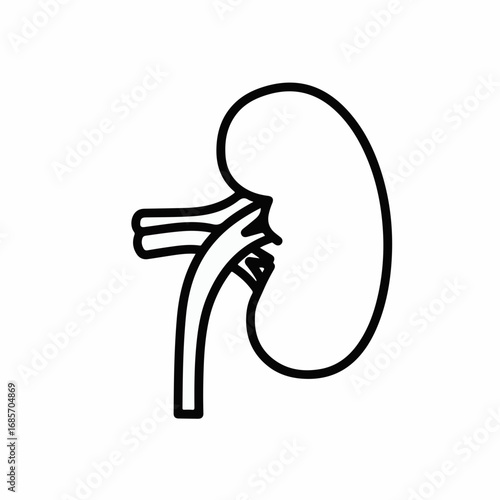 Clean line art icon representing a human kidney, perfect for medical, health, and science concepts