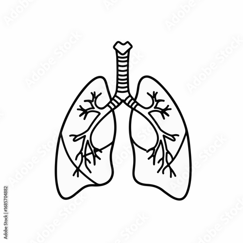 Detailed line art of human lungs and trachea, representing respiratory health and medical concepts with clean, modern design