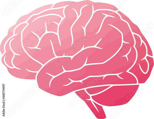 Stylized pink human brain illustration on white background.