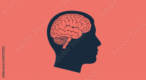 Anatomical illustration of the human brain inside a head silhouette.