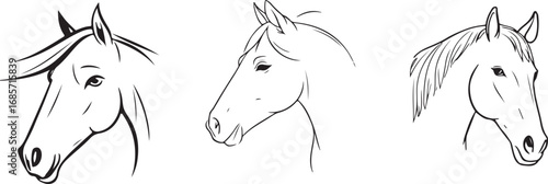 sketch of a horse