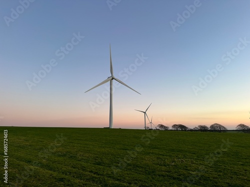 Wind turbines farm at sunset