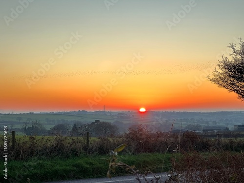 Wind turbines in the english countryside with sunset over fields