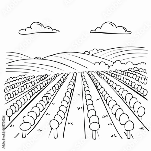 Rows of grapevines span across rolling hills in a vineyard on a sunny day