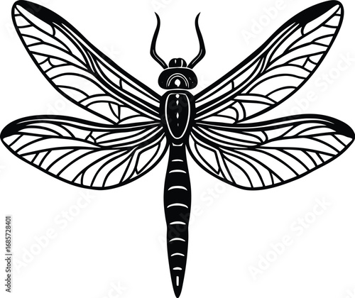 Detailed Dragonfly Illustration in Black and White for Graphic Design Projects