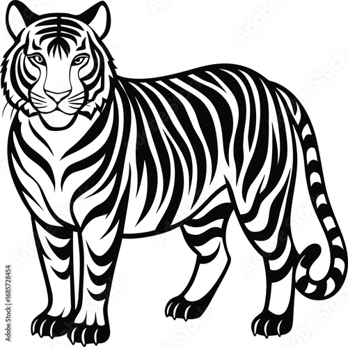 Black and White Tiger Illustration Standing Detailed Stripes and Tail Curled