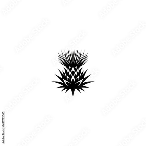 Close up of a single thistle, black and white illustration.