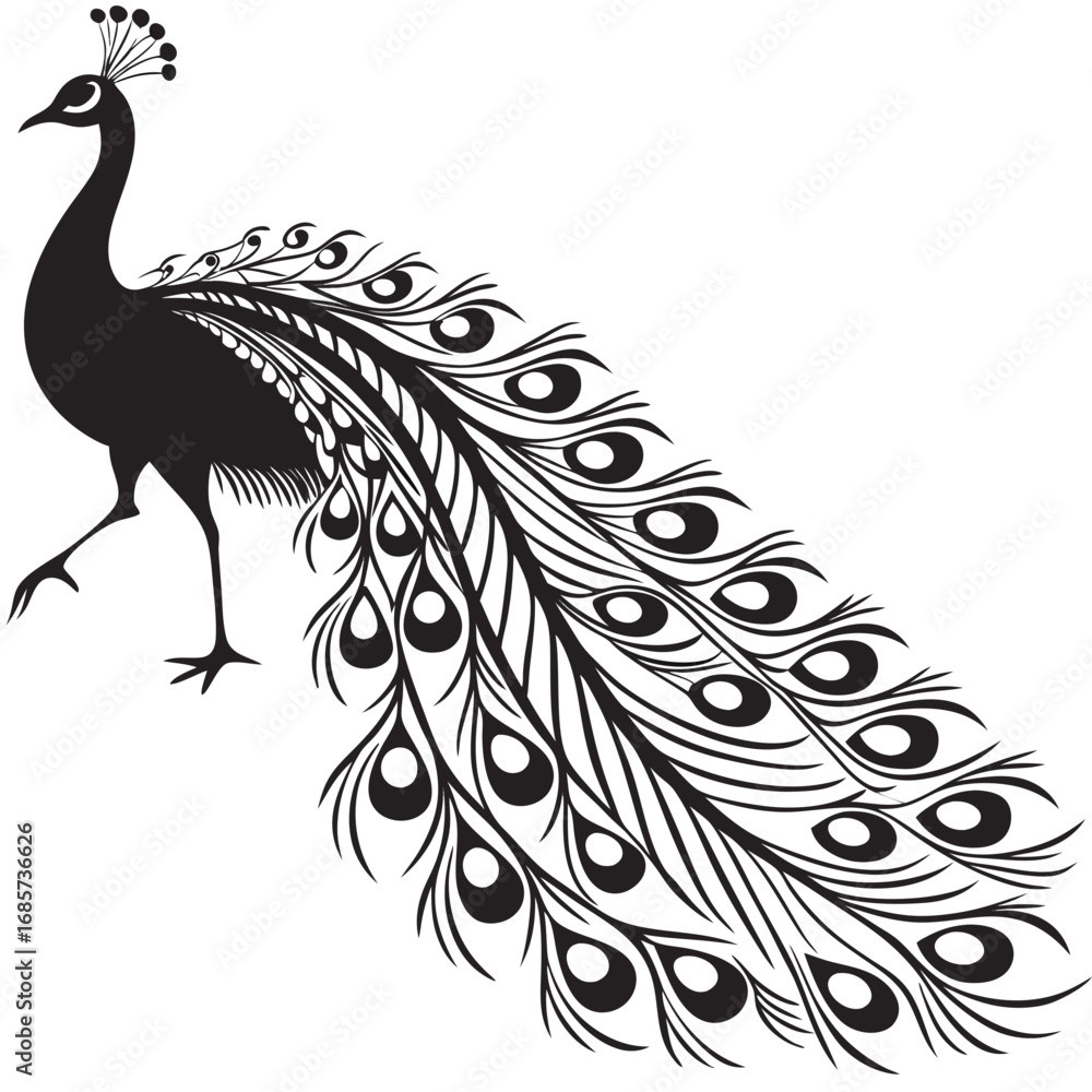 Fototapeta premium peacock feather vector illustration